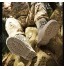 Bottes Tactiques Militaires Hautes pour Hommes Bottes en Cuir imperméables de Service de Police avec Fermeture à glissière latérale Bottes de randonnée légères en Plein air Bottes,Sand color-45